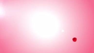 心花瓣汇聚成心花瓣红色背景视频素材视频的预览图